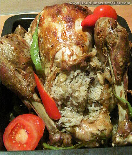 Hindi Dolma