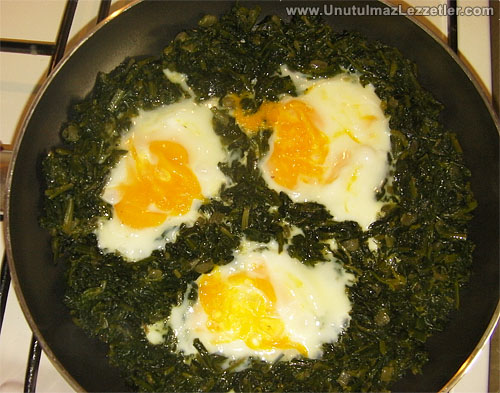 Yumurtalı Ispanak