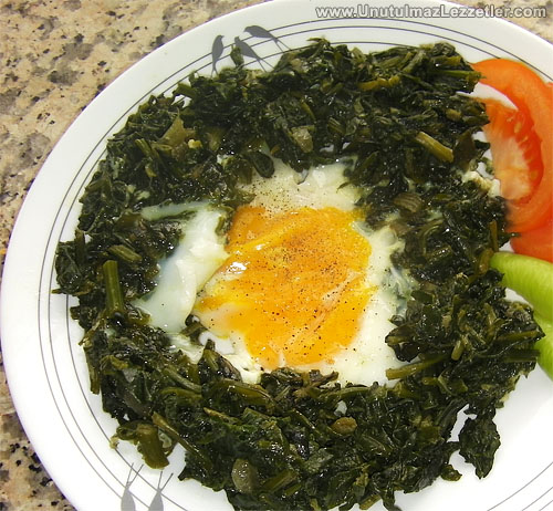 Yumurtalı Ispanak